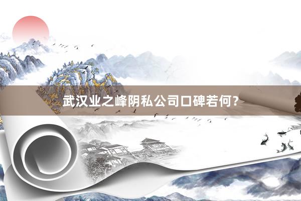 武汉业之峰阴私公司口碑若何？